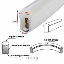 100ft Waterproof LED Strip Light 110V Commercial Building AD Sign For Xmas Party