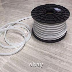 100ft Waterproof LED Strip Light 110V Commercial Building AD Sign For Xmas Party