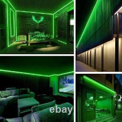 12V/24V LED Neon Rope Light Strip Waterproof Room Party Garden Building Decor