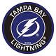 16x16 Tampa Bay Lightning Round Logo LED 3D Neon Sign Light Lamp Windows Decor