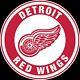 New Detroit Red Wings Round Logo LED 3D Neon Sign Light Lamp 16x16